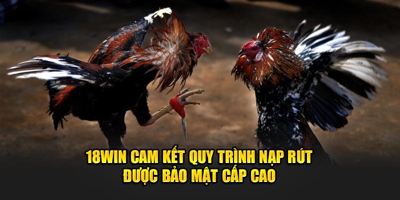 18Win cam kết quy trình nạp rút được bảo mật cấp cao