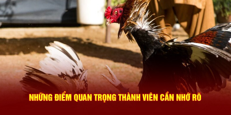 Những điểm quan trọng thành viên cần nhớ rõ 