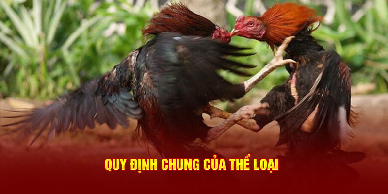 Quy định chung của thể loại 