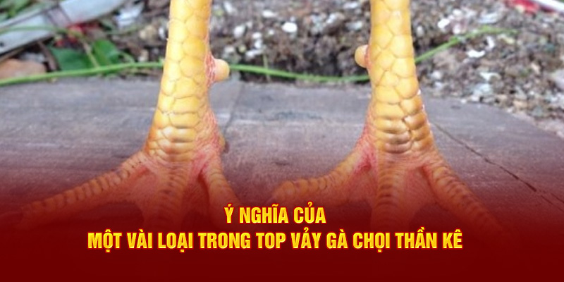 ảnh đại diện top vảy gà chọi thần kê