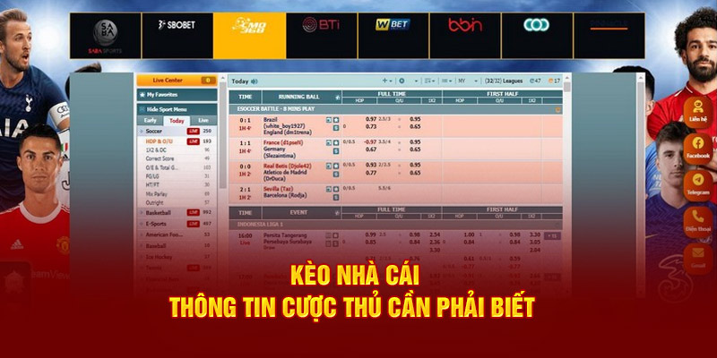 ảnh đại diện kèo nhà cái