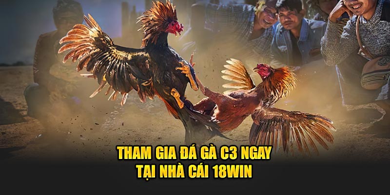 Tham gia đá gà C3 ngay tại nhà cái 18Win